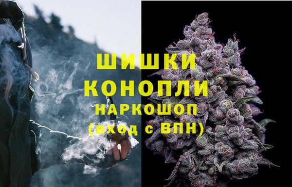 гидропоника Володарск