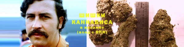 гидропоника Володарск