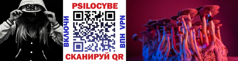 Псилоцибиновые грибы Psilocybine cubensis  Купить где  Наро-Фоминск 